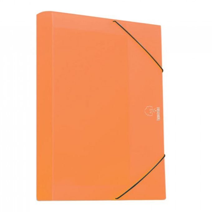 Κουτί λάστιχο Α4 με ράχη 5cm 25Χ35 Πορτοκαλί Typotrust 35005-06